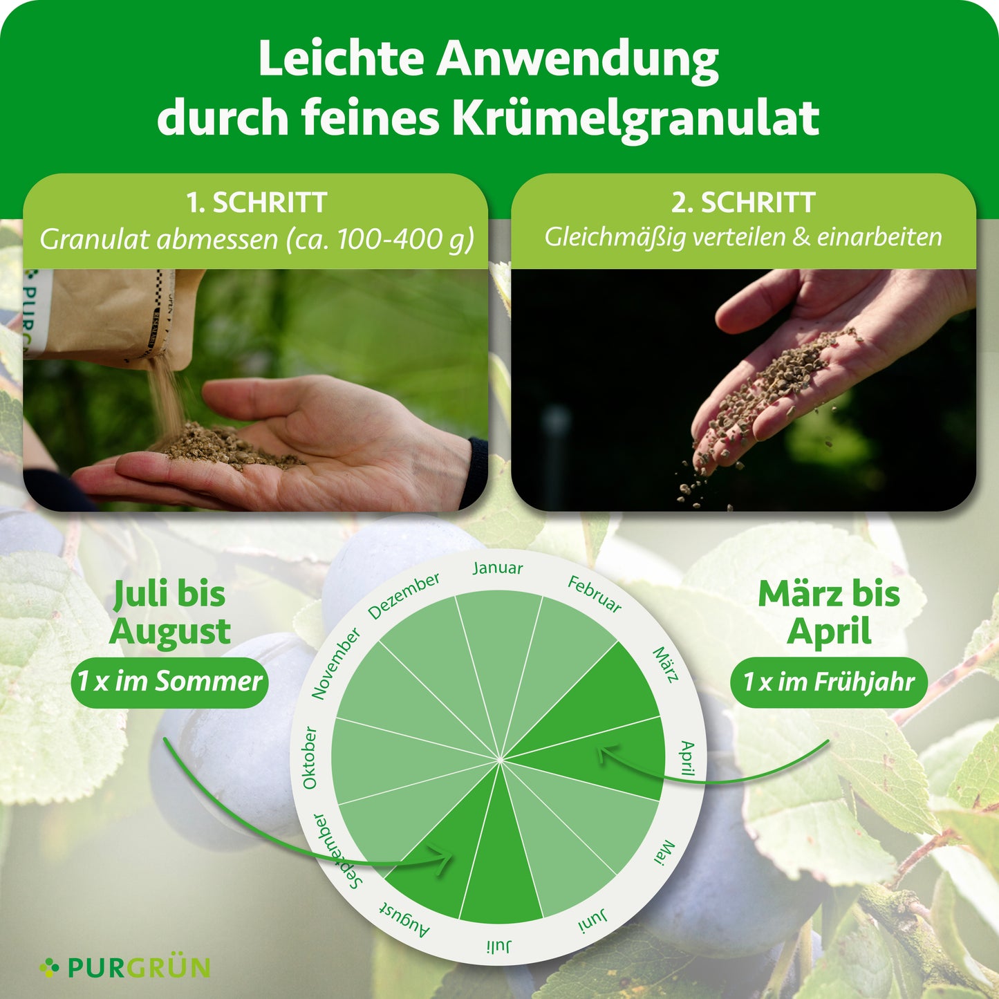 Anwendung: ca. 100–400 g Granulat abmessen, gleichmäßig verteilen und einarbeiten. Je einmal im Frühjahr von März bis April und im Sommer von Juli bis August düngen.