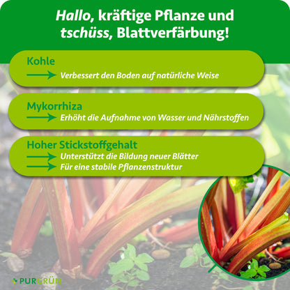 Bio-Rhabarber-Dünger 1 kg