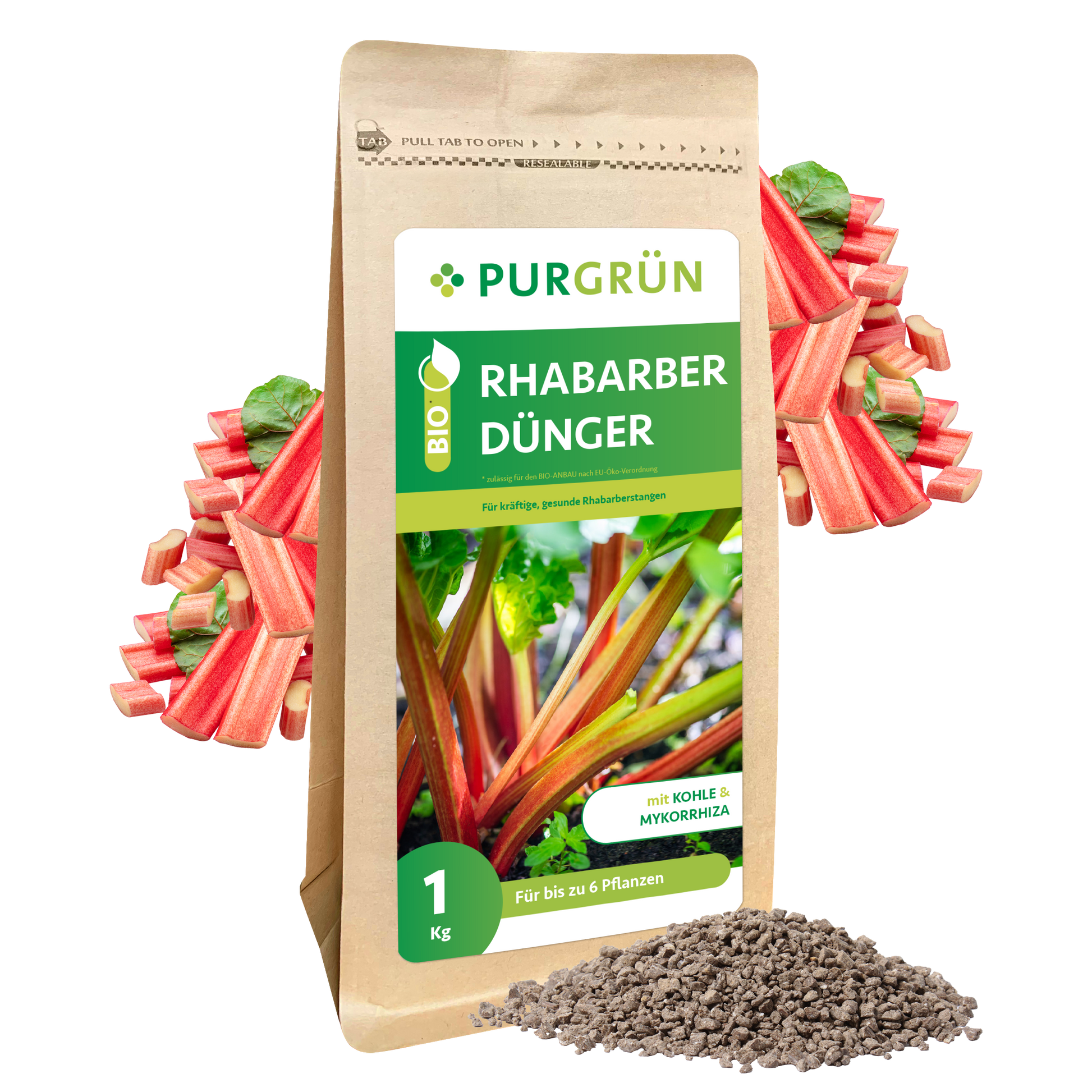 Aufrecht steht ein 1 kg-Sack Purgrün Bio-Rhabarber-Dünger mit Rhabarberstängeln und -blättern auf der Verpackung, wobei loses Granulat und dekorative Rhabarberstängel und Pflanzenkohle für eine natürliche Optik sorgen.