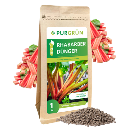 Aufrecht steht ein 1 kg-Sack Purgrün Bio-Rhabarber-Dünger mit Rhabarberstängeln und -blättern auf der Verpackung, wobei loses Granulat und dekorative Rhabarberstängel und Pflanzenkohle für eine natürliche Optik sorgen.