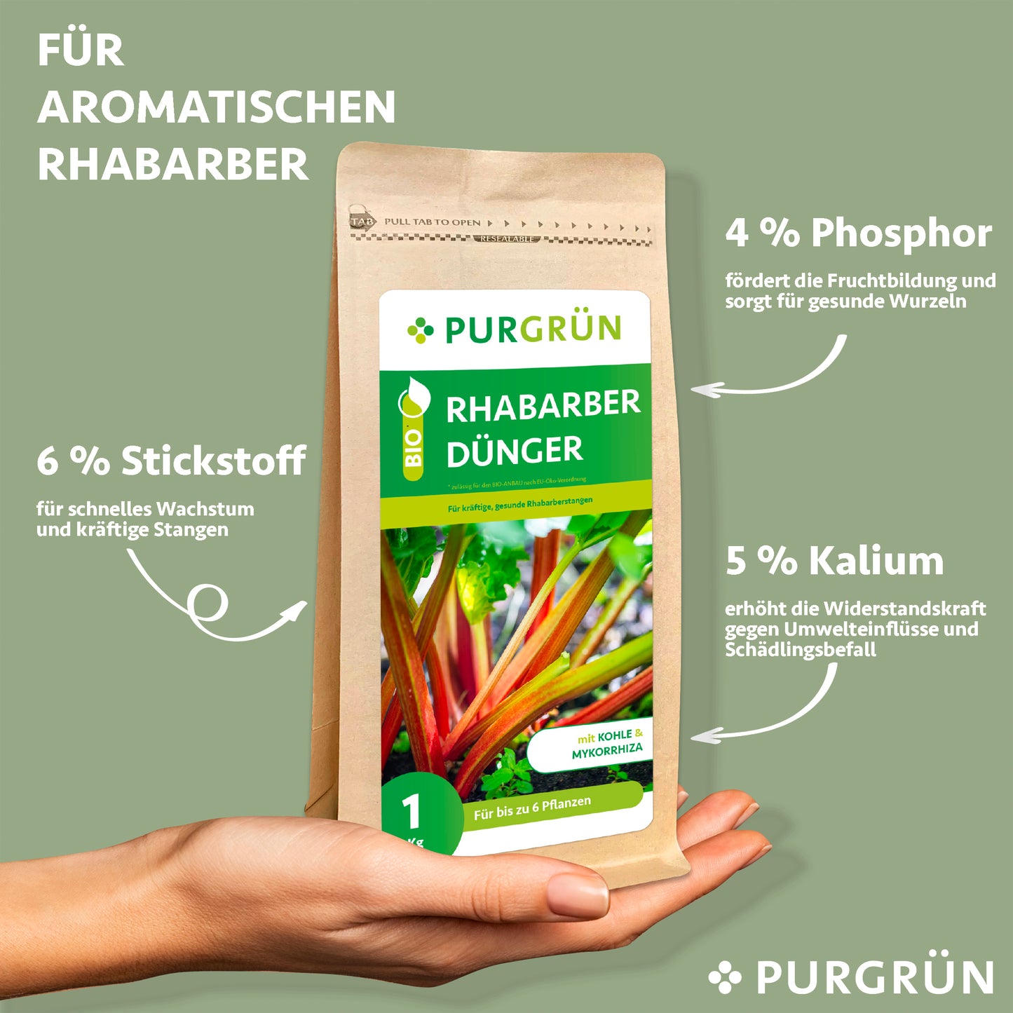 Eine Hand hält einen Purgrün Bio-Rhabarber-Dünger 1 kg Beutel mit seinen natürlichen Nährstoffen: 6 % Stickstoff, 4 % Phosphor und 5 % Kalium - ein organischer Dünger, der Wachstum, Fruchtbildung und Widerstandsfähigkeit der Pflanzen fördert.