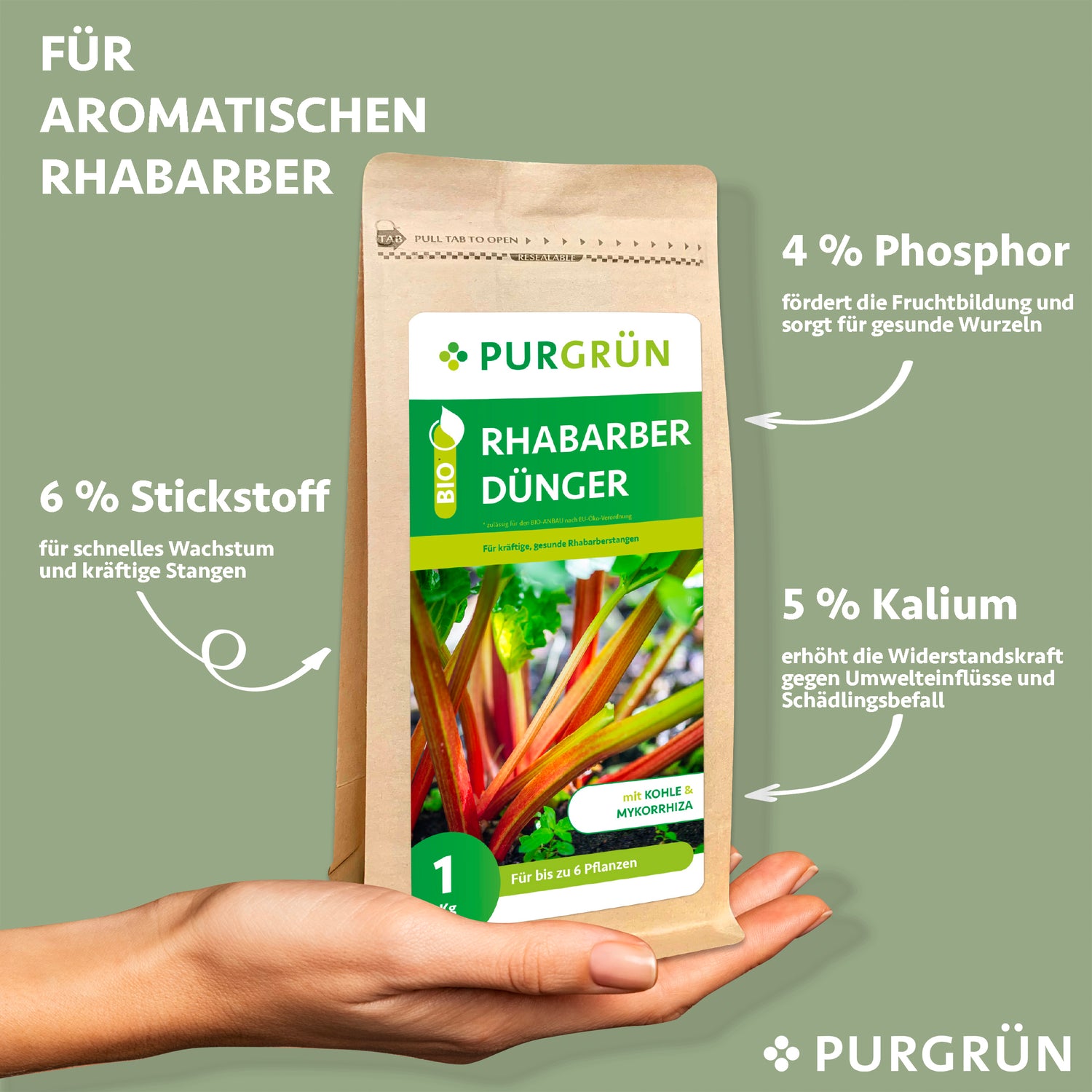 Eine Hand hält einen Purgrün Bio-Rhabarber-Dünger 1 kg Beutel mit seinen natürlichen Nährstoffen: 6 % Stickstoff, 4 % Phosphor und 5 % Kalium - ein organischer Dünger, der Wachstum, Fruchtbildung und Widerstandsfähigkeit der Pflanzen fördert.