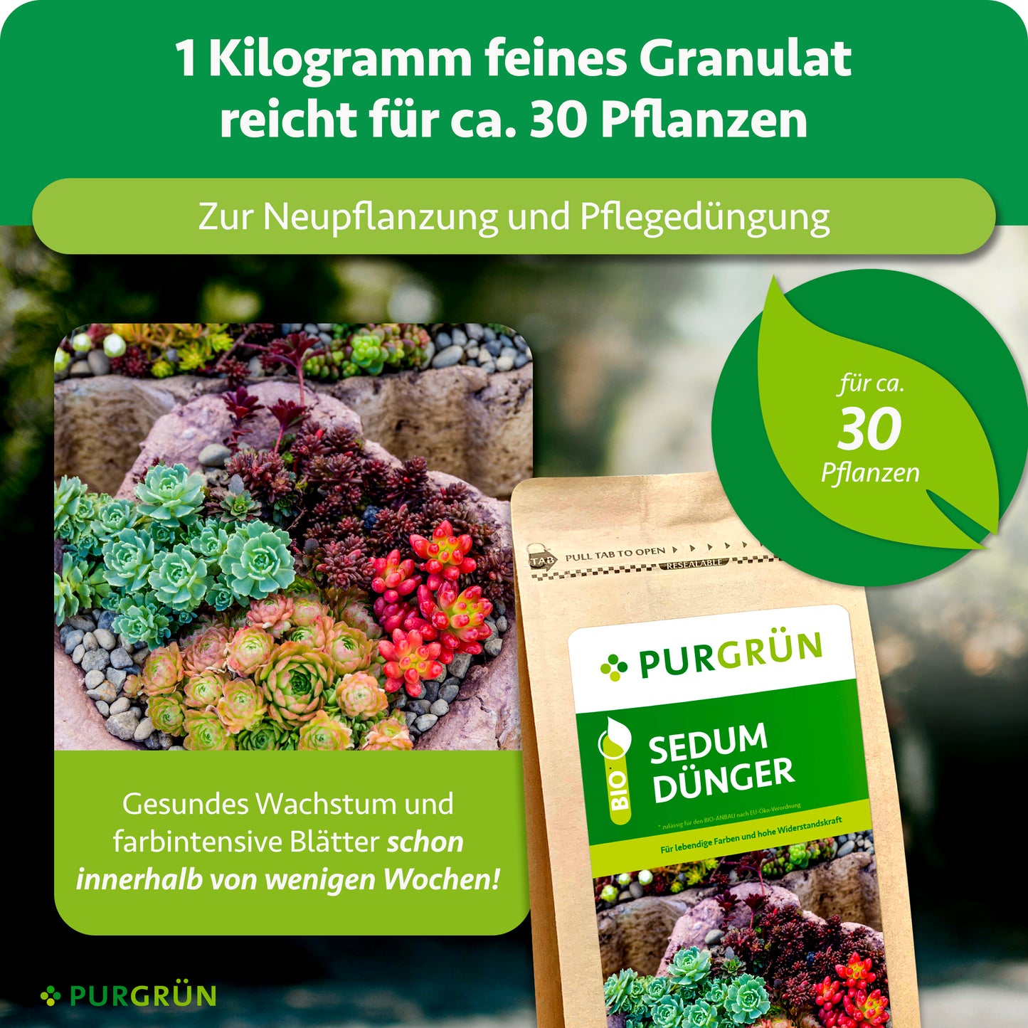 Bio-Sedum-Dünger 1 kg