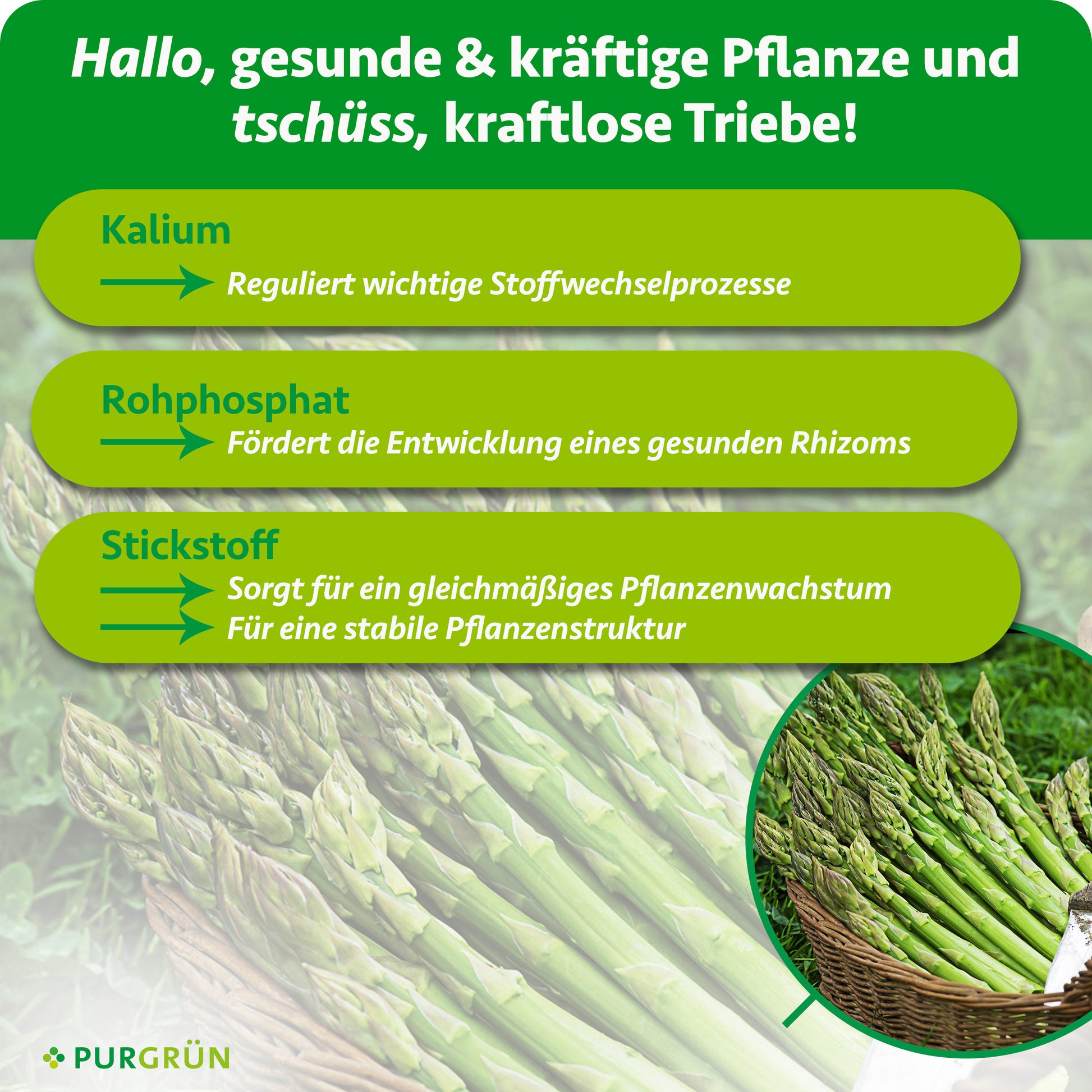 Purgrün Bio-Spargeldünger 1 Liter