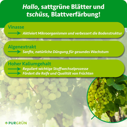 Bio-Tafeltrauben-Dünger 1 Liter
