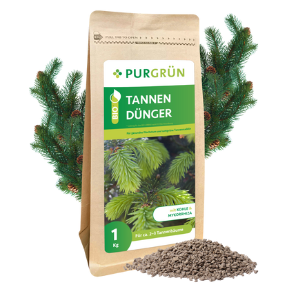 Ein 1kg-Sack Purgrün Tannendünger steht vor grünen Tannenzweigen, davor ein kleiner Haufen Granulat. Die Verpackung zeigt Tannennadeln und grüne Etiketten, die auf Mykorrhiza für gesundes Baumwachstum hinweisen.