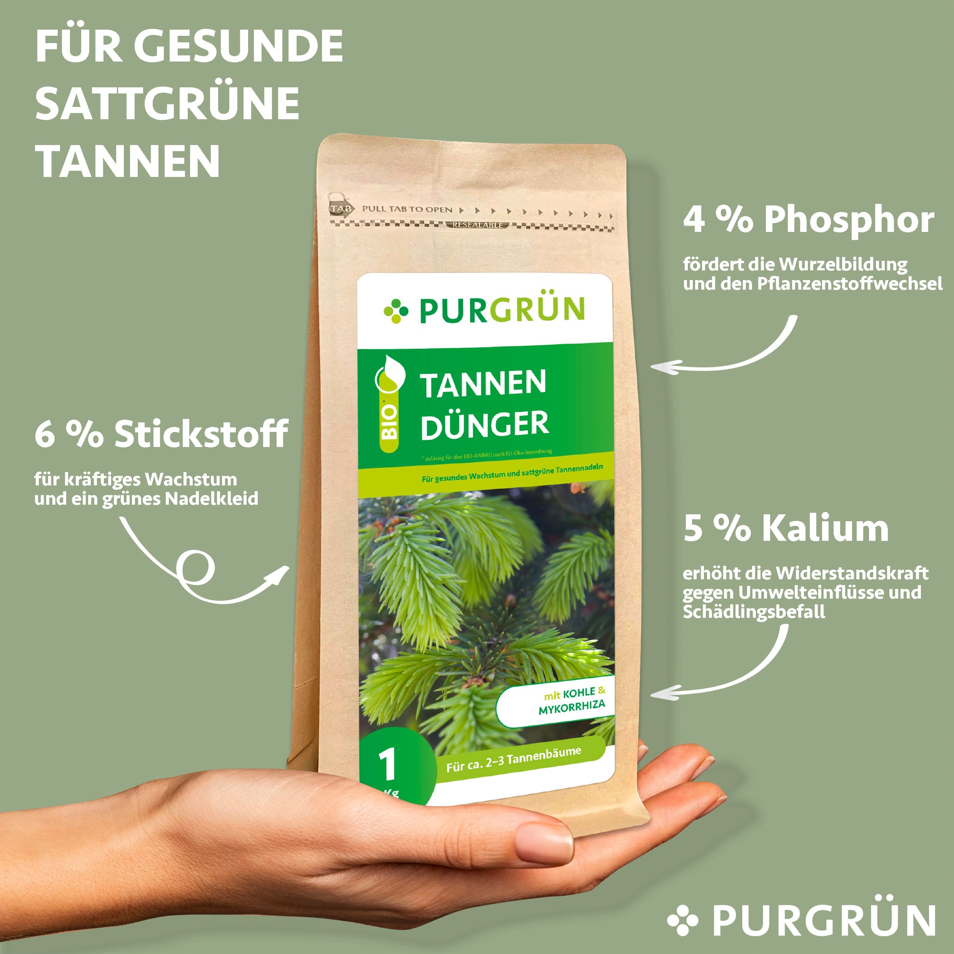 Eine Hand hält eine braune 1 kg-Packung Purgrün Tannendünger, verziert mit Tannenzweigen und grünen Etiketten, auf denen die Nährstoffwerte angegeben sind: 6% Stickstoff, 4% Phosphor und 5% Kalium - ideal für gesunde Tannenbäume.