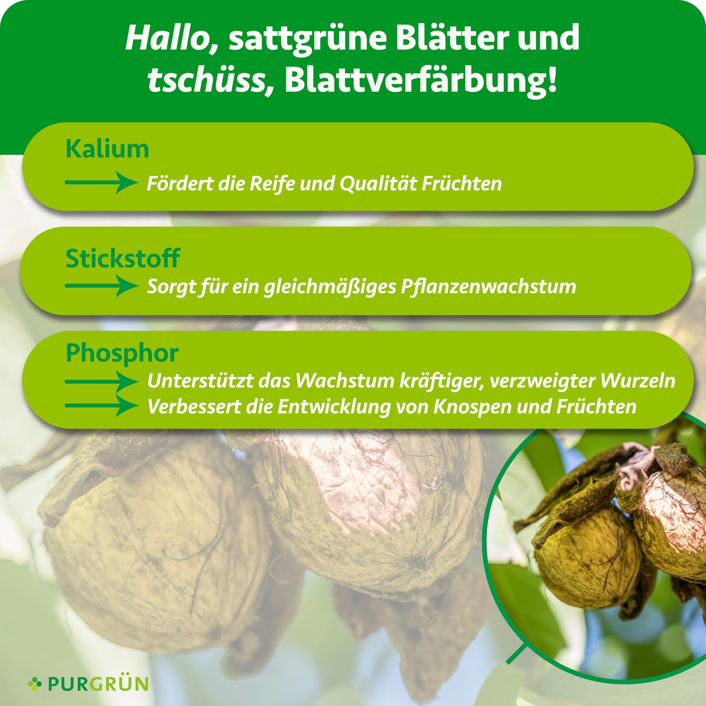 Bio-Walnussbaum-Dünger 1 kg