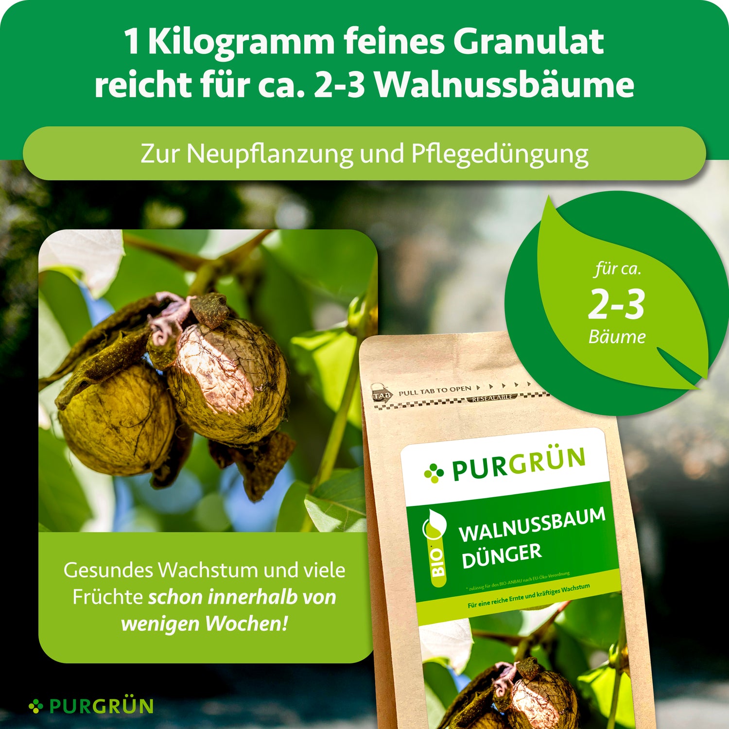Purgrün Bio-Walnussbaum-Dünger 1 kg