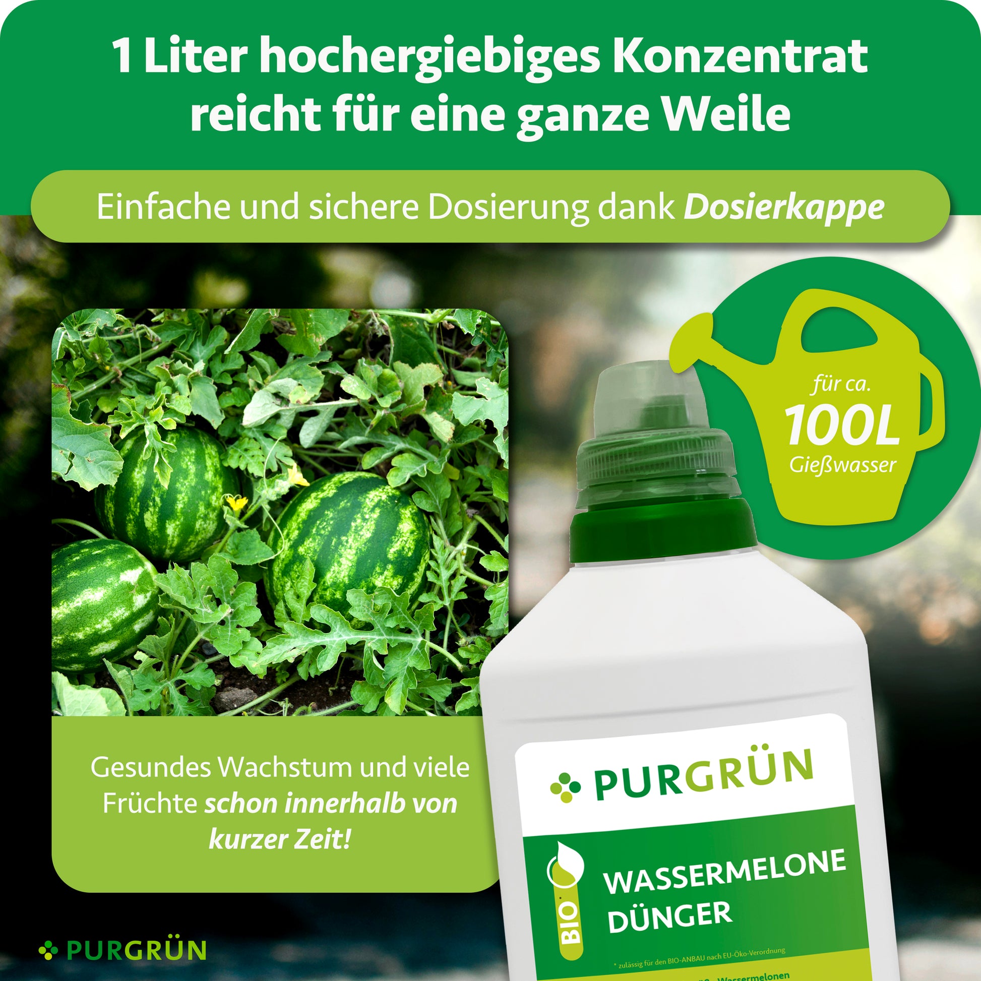 melone dünger Purgrün Bio-Wassermelone-Dünger 1 Liter