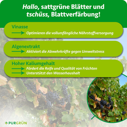 Bio-Weinstock-Dünger 1 Liter