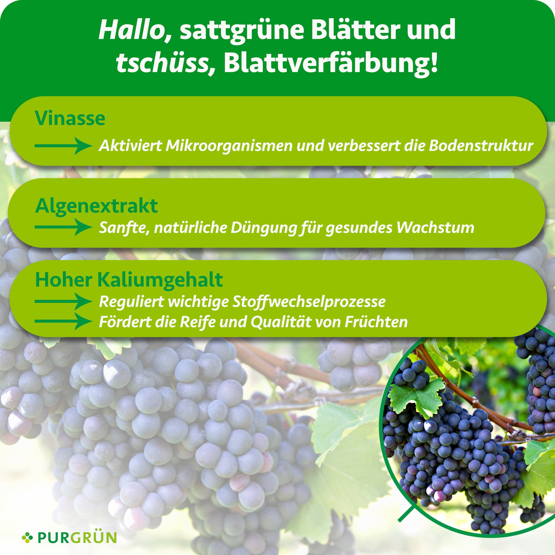 Purgrün Bio-Weintrauben-Dünger 1 Liter