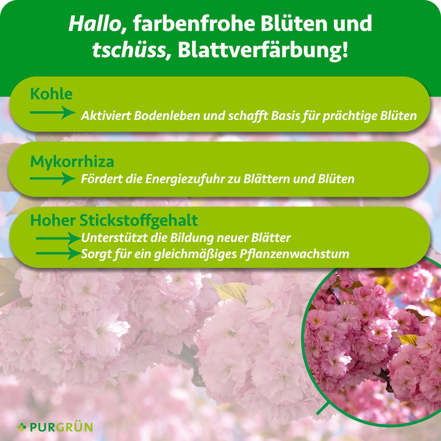 dünger für zierkirsche Purgrün Bio-Zierkirsche-Dünger 1 kg