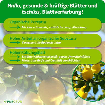 Bio-Zitronenbaum-Dünger 1 Liter