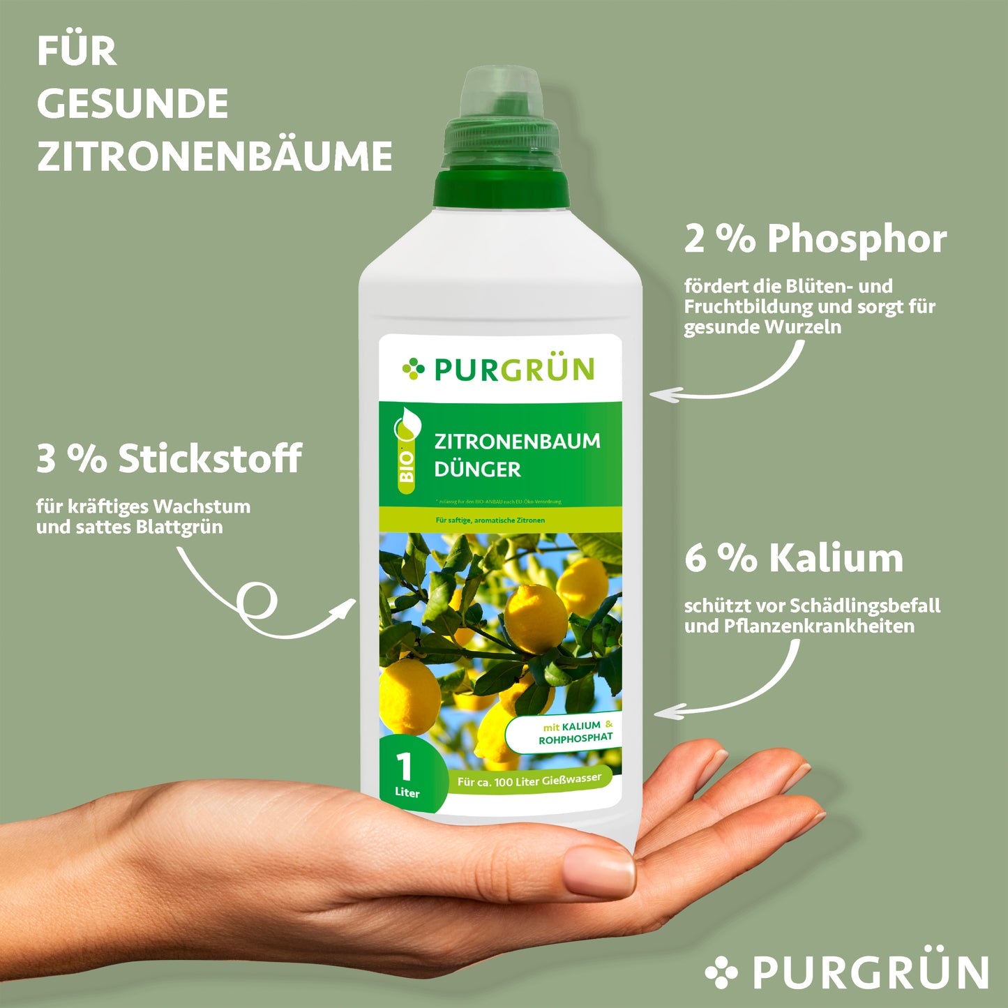 Eine Hand hält eine Flasche Purgrün Bio-Zitronenbaum-Dünger 1 Liter. Der Text zeigt: 3% Stickstoff für das Wachstum, 2% Phosphor für Wurzeln/Früchte und 6% Kalium für den Krankheitsschutz. Ideal für Zitruspflanzen. Grüner Hintergrund.