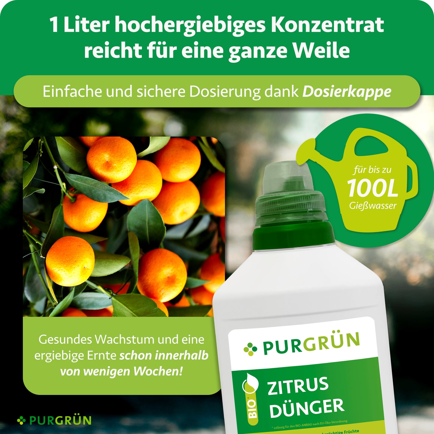 Bio-Zitrusdünger 1 Liter