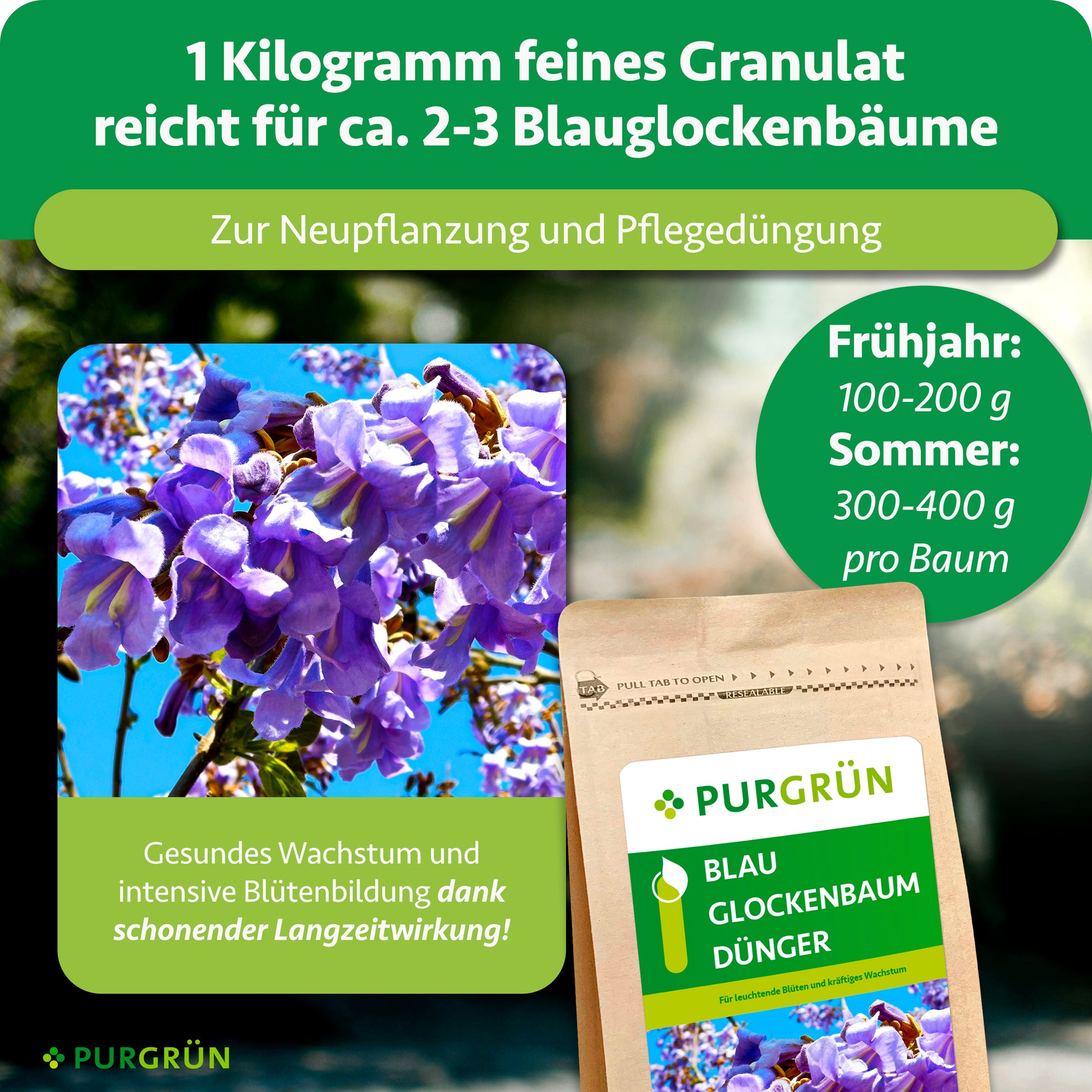 Ein Produktbild für Purgrün Blauglockenbaum-Dünger 1 kg zeigt blühende Paulownia-Bäume und die Düngerpackung mit Schwerpunkt auf organisch-mineralischem Dünger für optimales Wachstum, mit Dosierung und saisonalen Tipps für gesundes Wachstum und anhaltende Blüte.