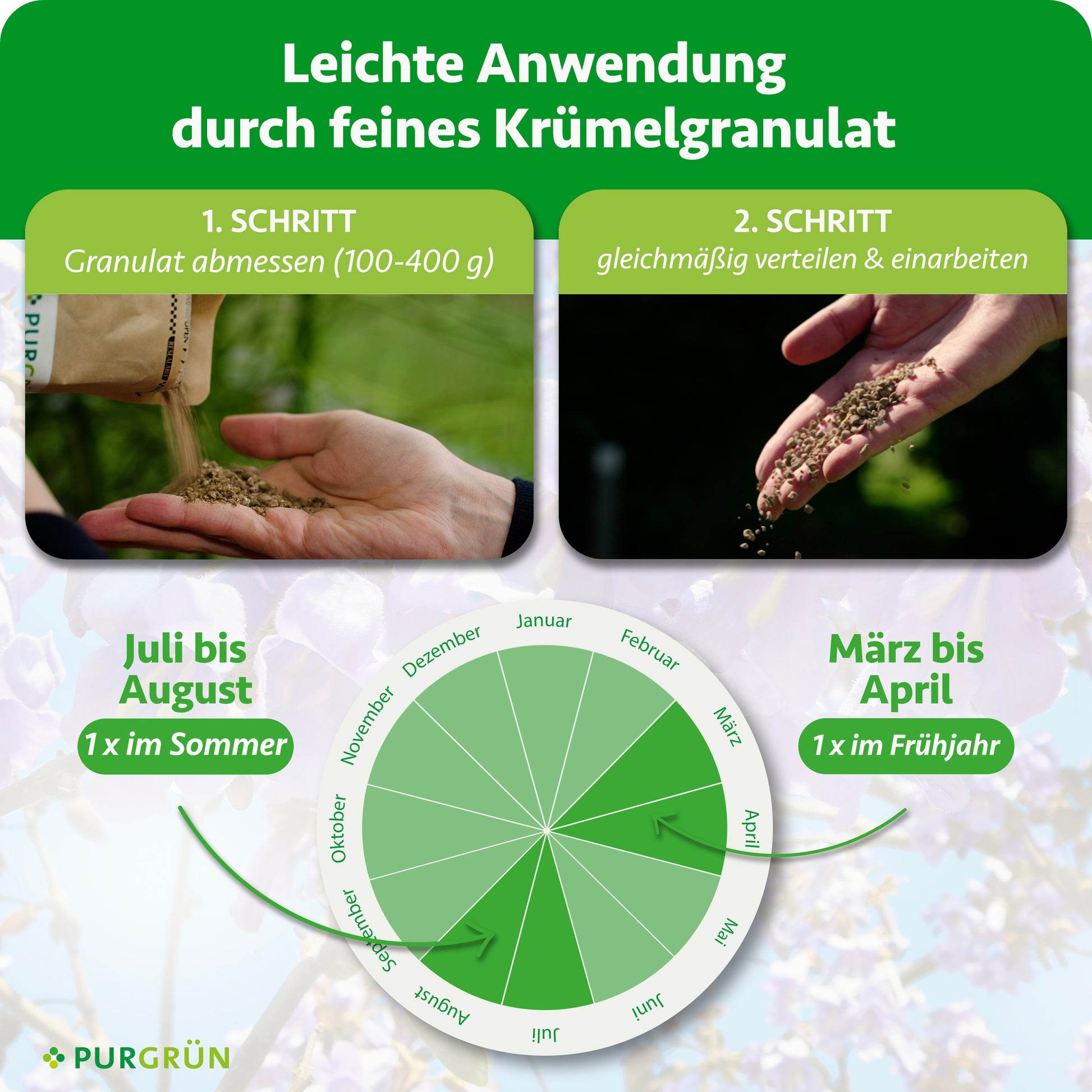 Eine Hand schüttet 1 kg Purgrün Blauglockenbaum-Dünger aus einem Sack, während eine andere ihn auf den Boden streut. Ein kreisförmiger Kalender zeigt die Anwendungszeiten im März/April (Frühling) und Juli/August (Sommer) an. Die Anleitung finden Sie oben.