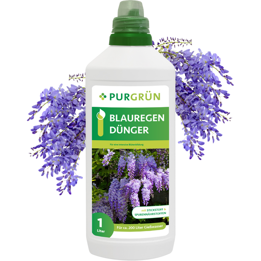 Purgrün Blauregen-Dünger 1 Liter kommt in einer Flasche mit grünem Deckel und lila Glyzinienblüten auf dem Etikett. Speziell für Blauregen-Pflanzen entwickelt, unterstützt er ein gesundes Wachstum und eine üppige Blüte.