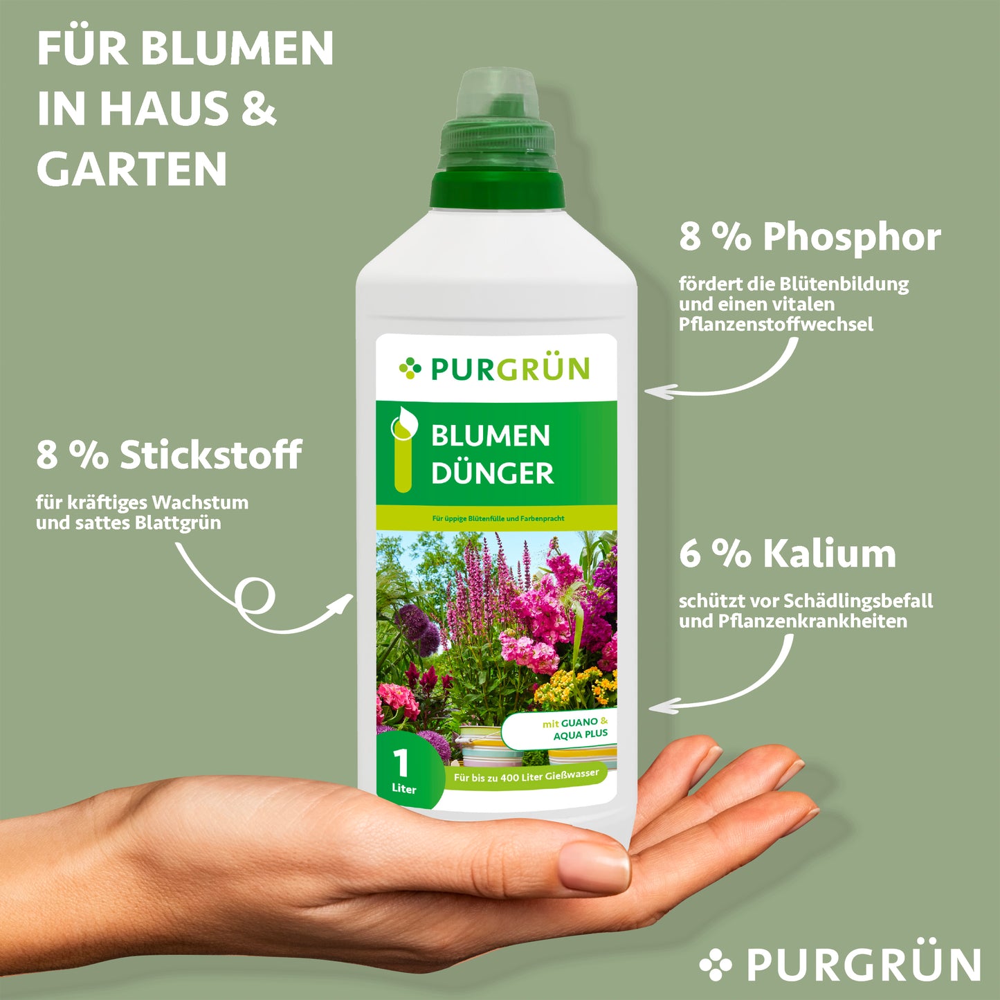 Eine Hand hält eine Purgrün Blumendünger 1 Liter Flasche vor einem grünen Hintergrund. Der Text hebt die Nährstoffe hervor: 8% Stickstoff, 8% Phosphor und 6% Kalium. Dieser organisch-mineralische Dünger ist ideal für Haus- und Gartenblumen.