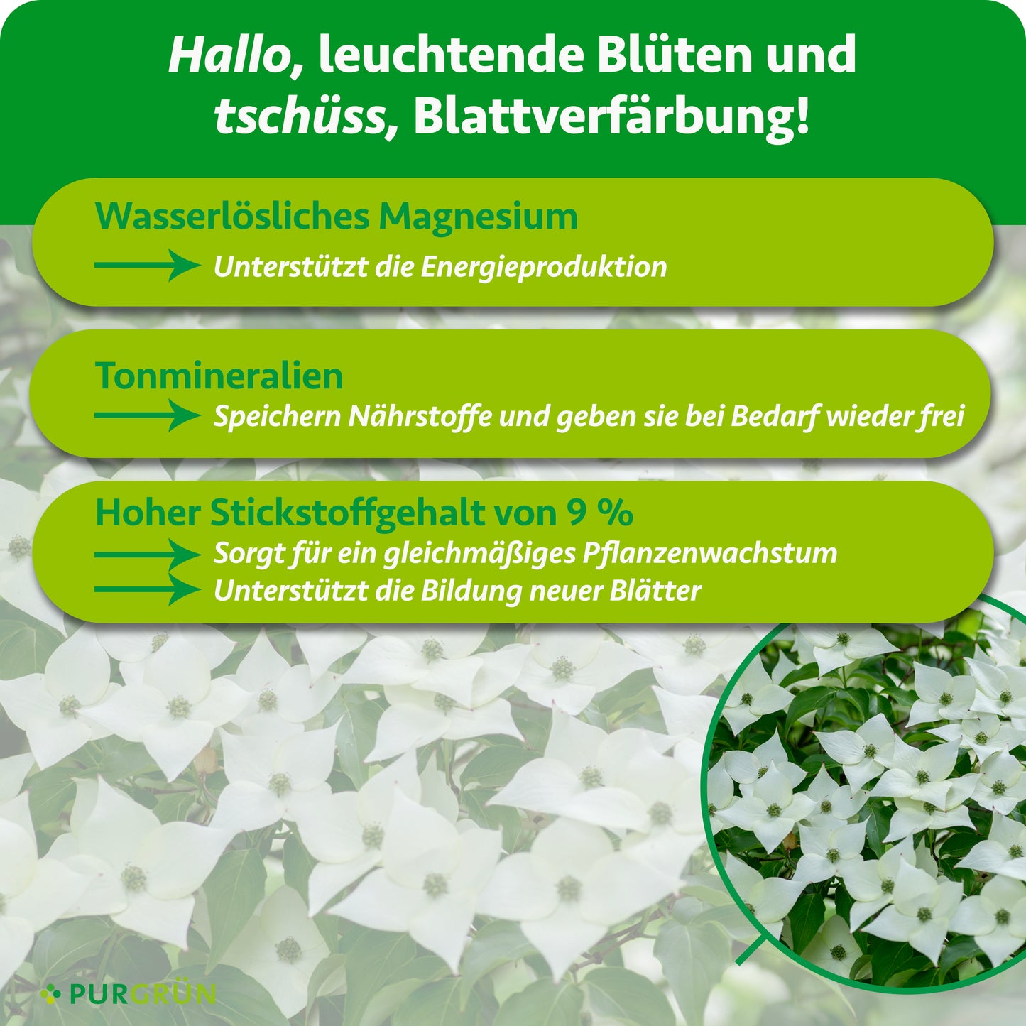 Blumenhartriegel-Dünger 1 kg