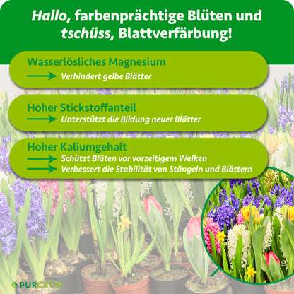 Blumenzwiebel-Dünger 1 kg