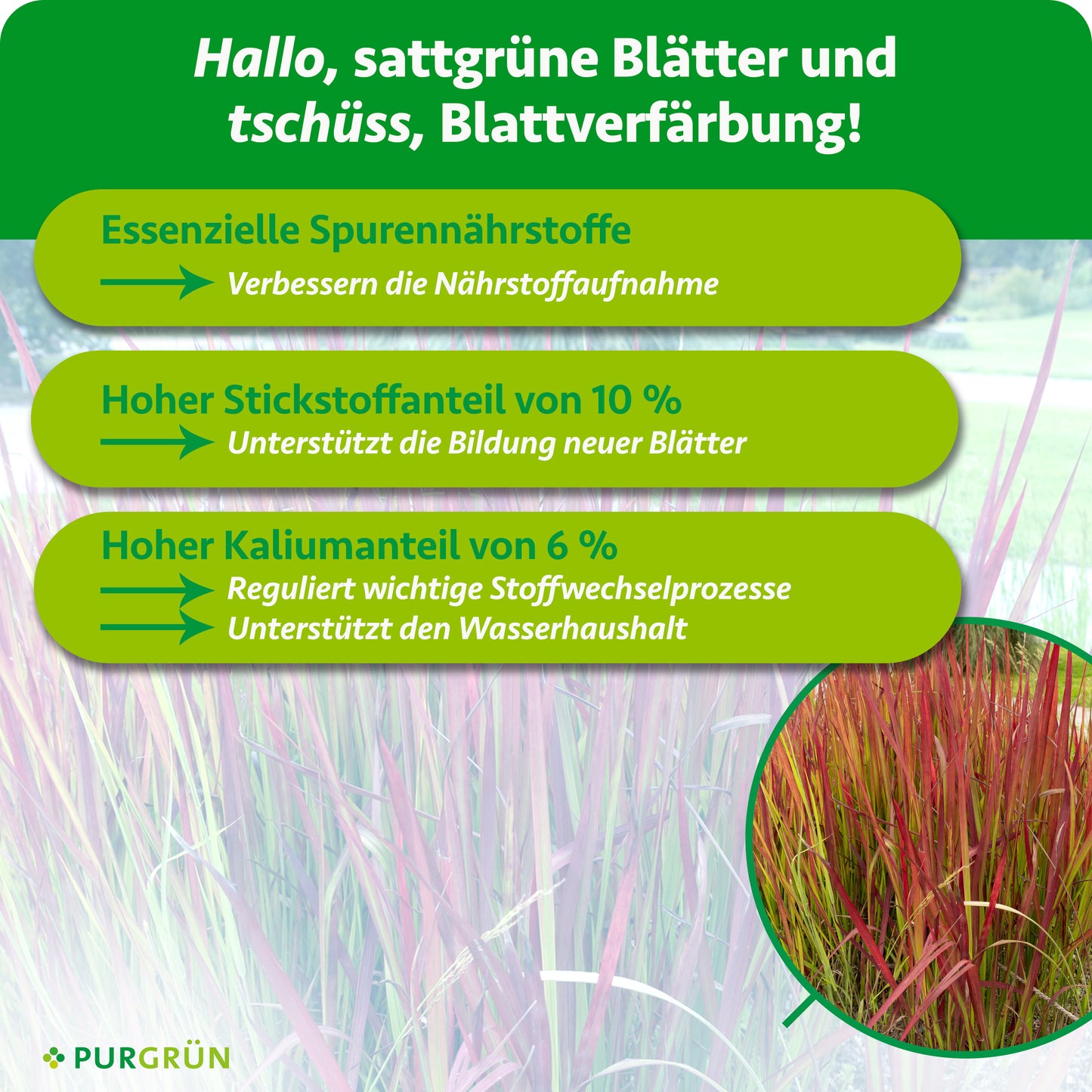 Blutgras-Dünger 1 Liter