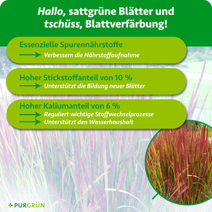 Blutgras-Dünger 1 Liter