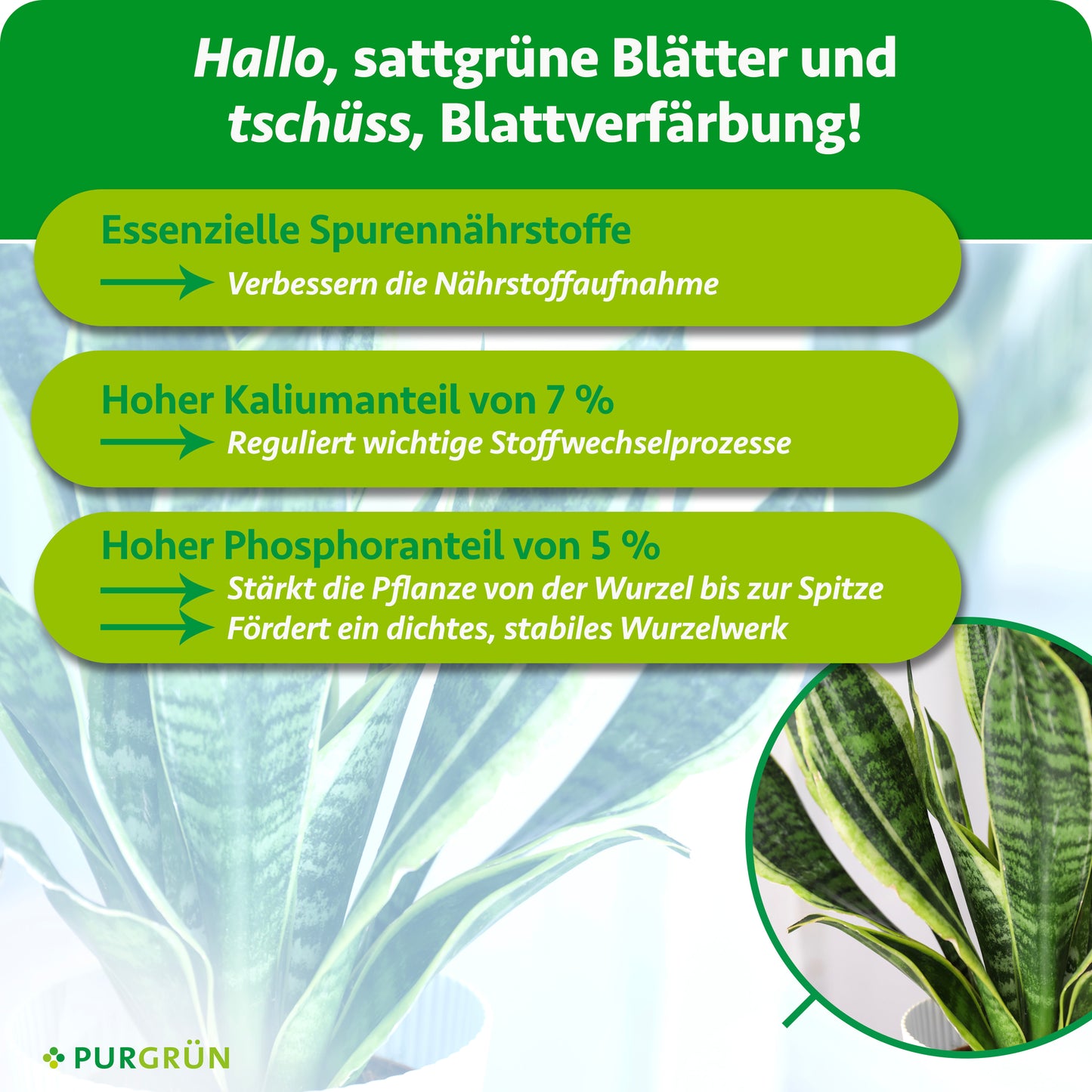 Bogenhanf-Dünger 1 Liter