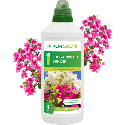 Eine weiße 1-Liter-Flasche Purgrün Bougainvillea-Dünger mit grüner Verschlusskappe ist ausgestellt. Auf dem Etikett sind rosa und weiße Bougainvillea-Blüten und ein deutscher Text abgebildet. Rosa Bougainvillea-Blüten umgeben die Flasche.