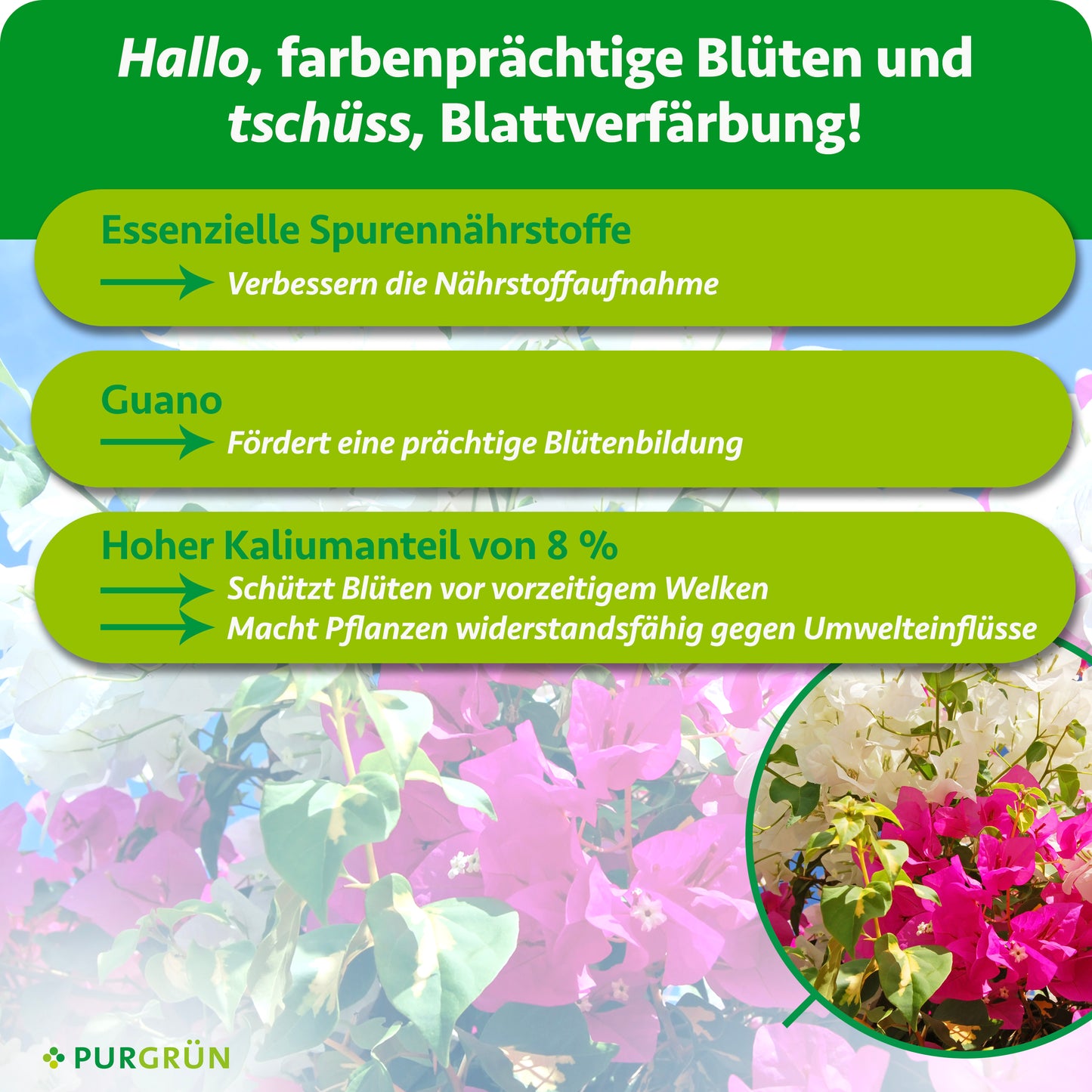 Bougainvillea-Dünger 1 Liter