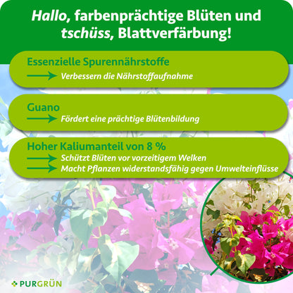 Bougainvillea-Dünger 1 Liter