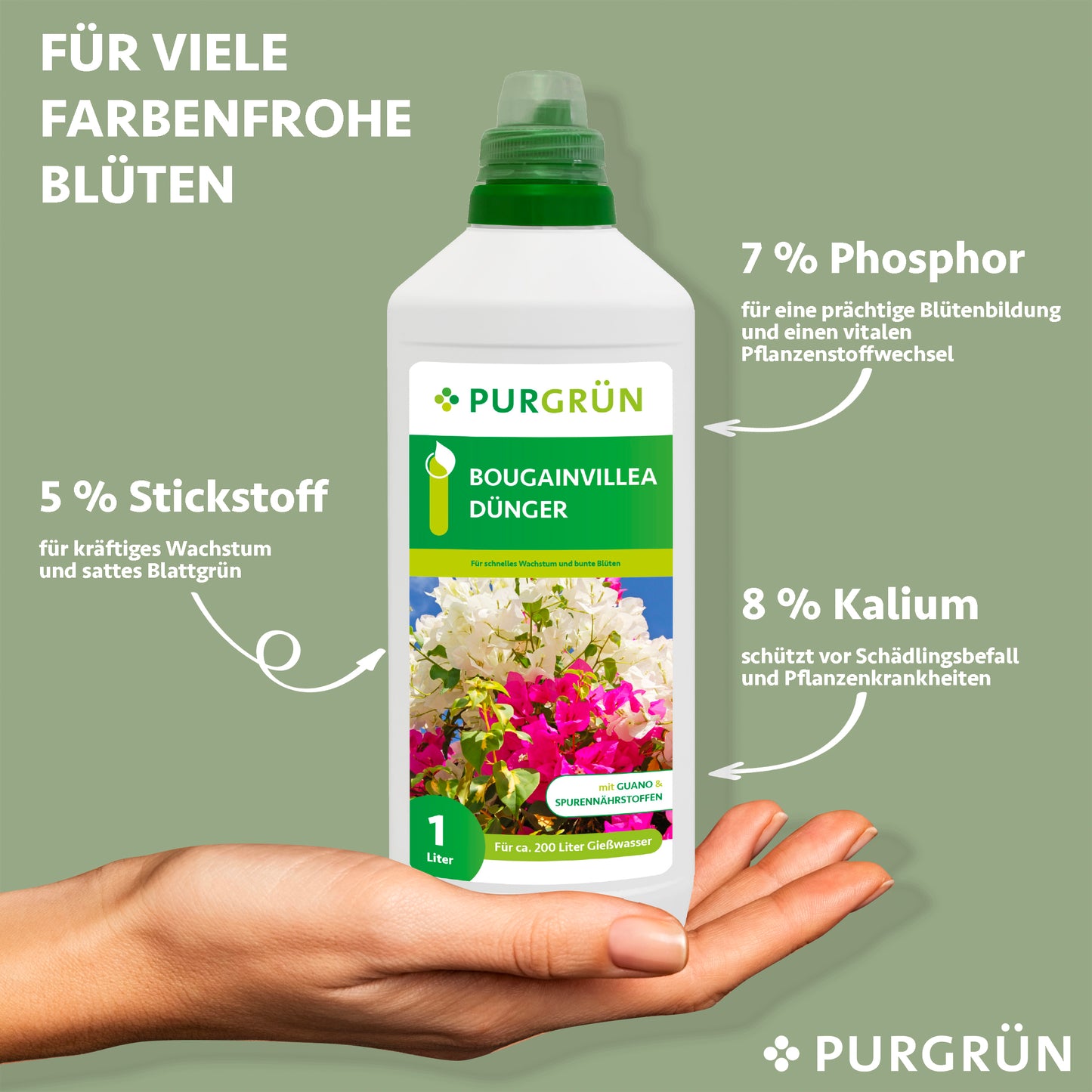 Eine Hand hält eine 1L Flasche Purgrün Bougainvillea-Dünger. Der Text hebt hervor: 5% Stickstoff für das Wachstum, 7% Phosphor für die Blüte und 8% Kalium für die Pflanzengesundheit. Hellgrüner floraler Hintergrund.