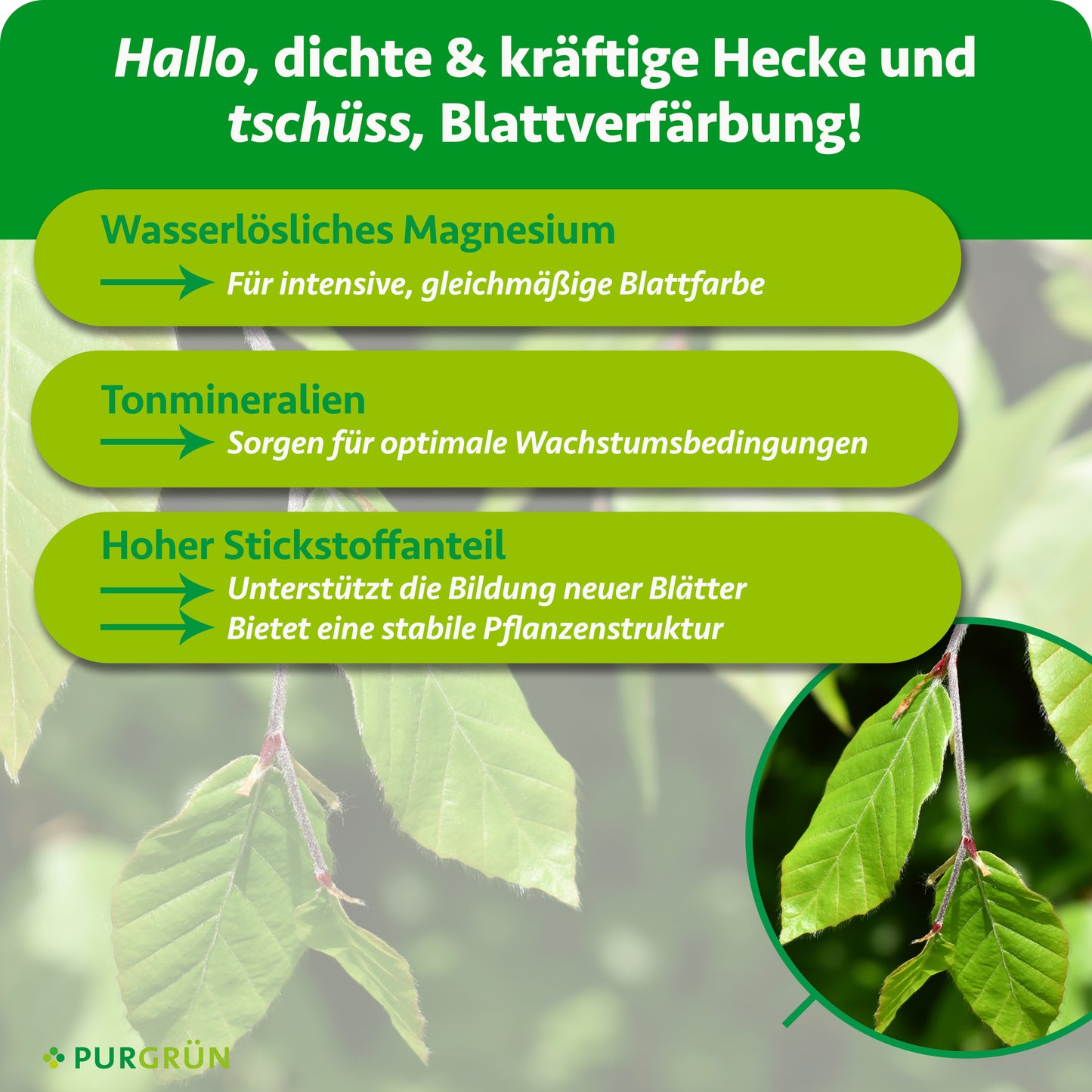Buchenhecke-Dünger 1 kg