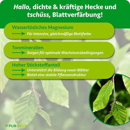 Buchenhecke-Dünger 1 kg