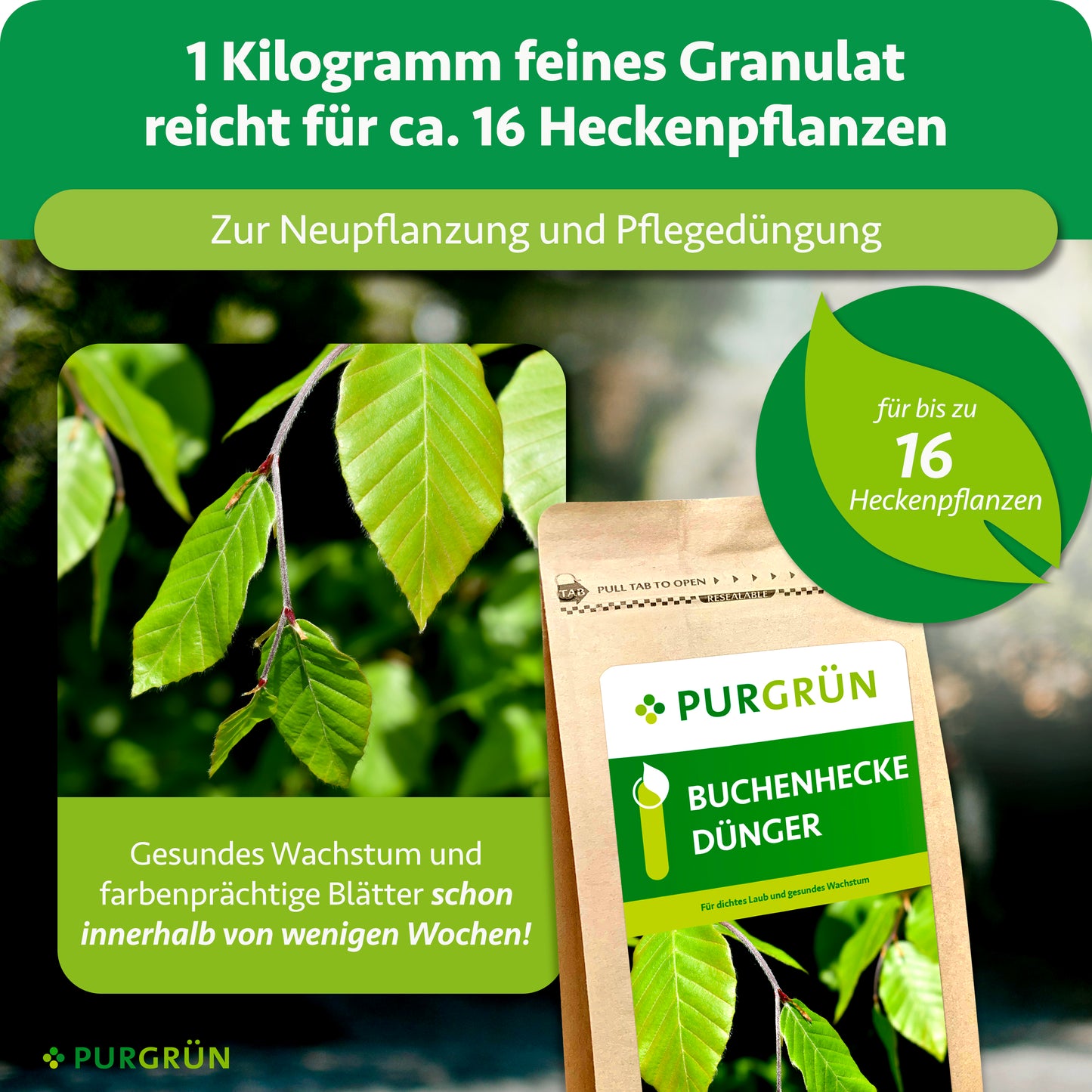 Buchenhecke-Dünger 1 kg