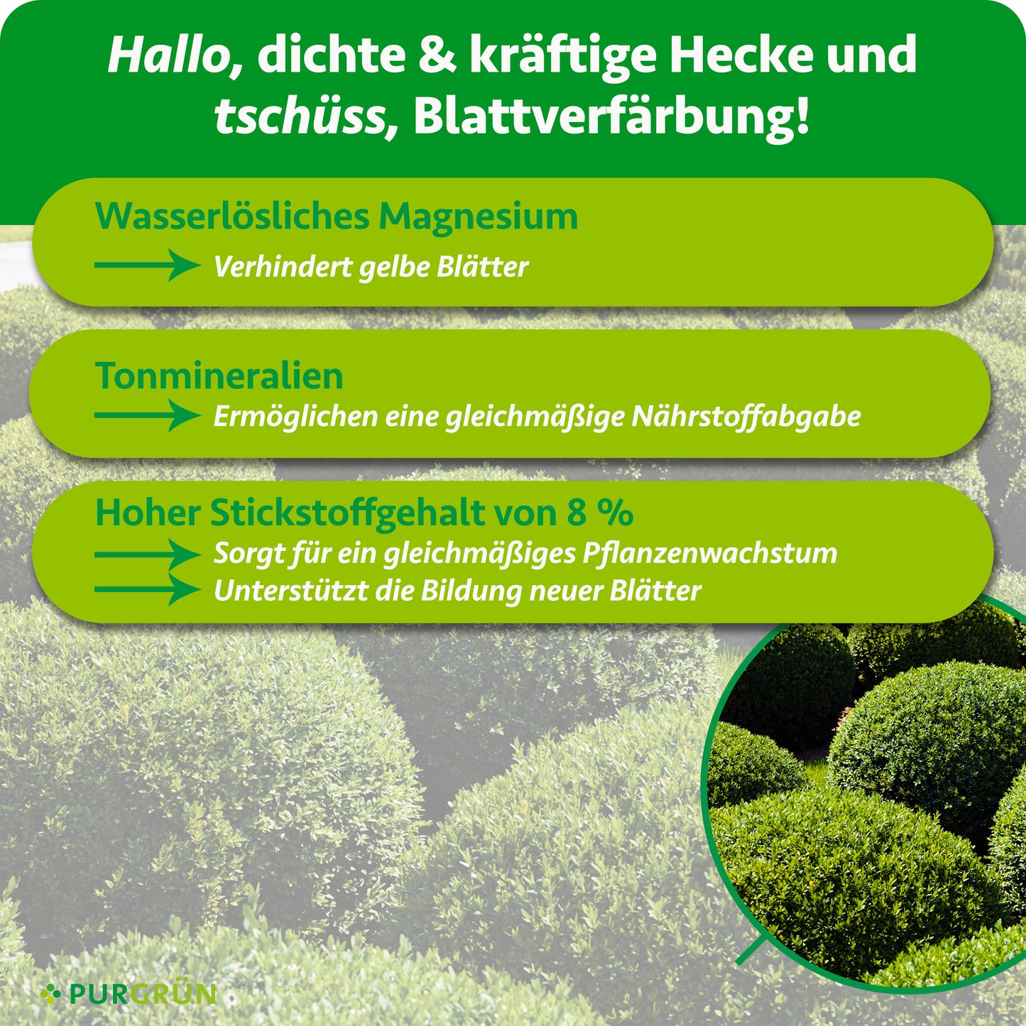 Buchsbaumdünger 1 kg