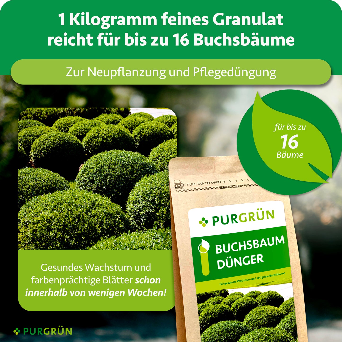 Buchsbaumdünger 1 kg