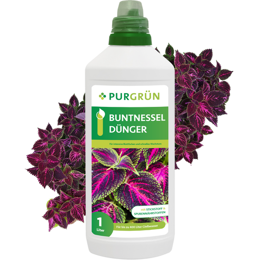 Buntnessel-Dünger 1 Liter
