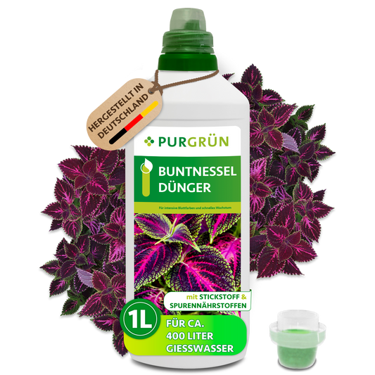 Buntnessel-Dünger 1 Liter