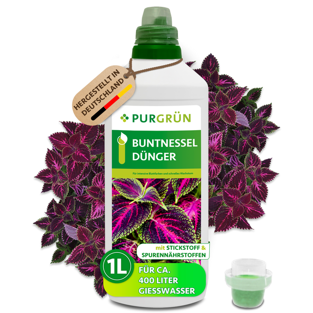 Purgrün Buntnessel-Dünger im 1-Liter-Gebinde mit Dosierkappe vor violett-grünen Buntnesselblättern; reicht für ca. 400 Liter Gießwasser.