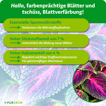 Buntnessel-Dünger 1 Liter