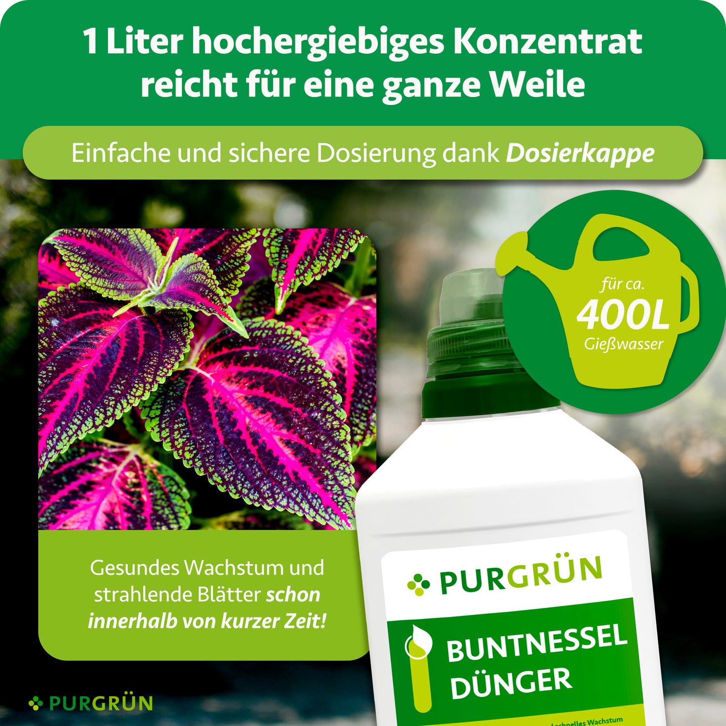Buntnessel-Dünger 1 Liter