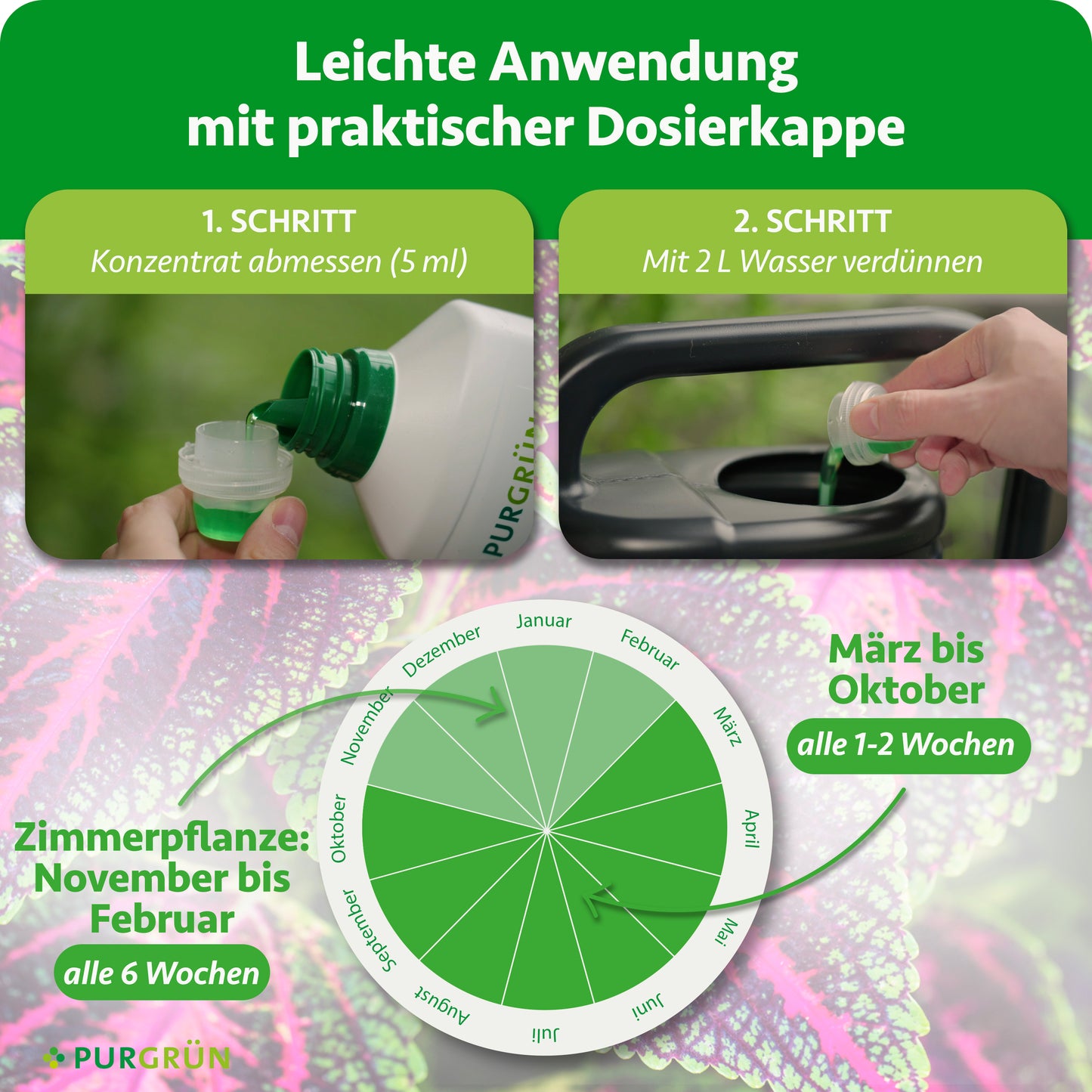 Buntnessel-Dünger 1 Liter