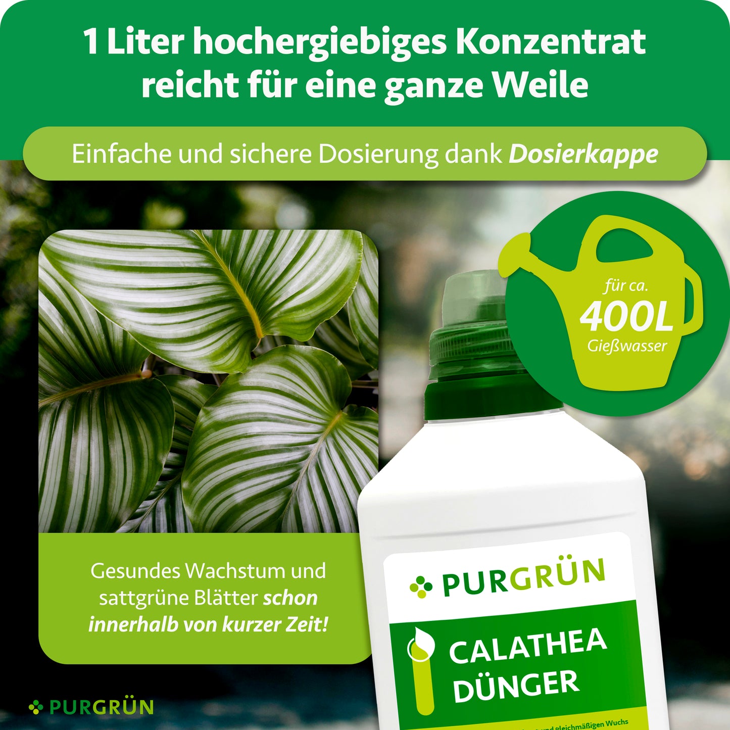 Calathea-Dünger 1 Liter