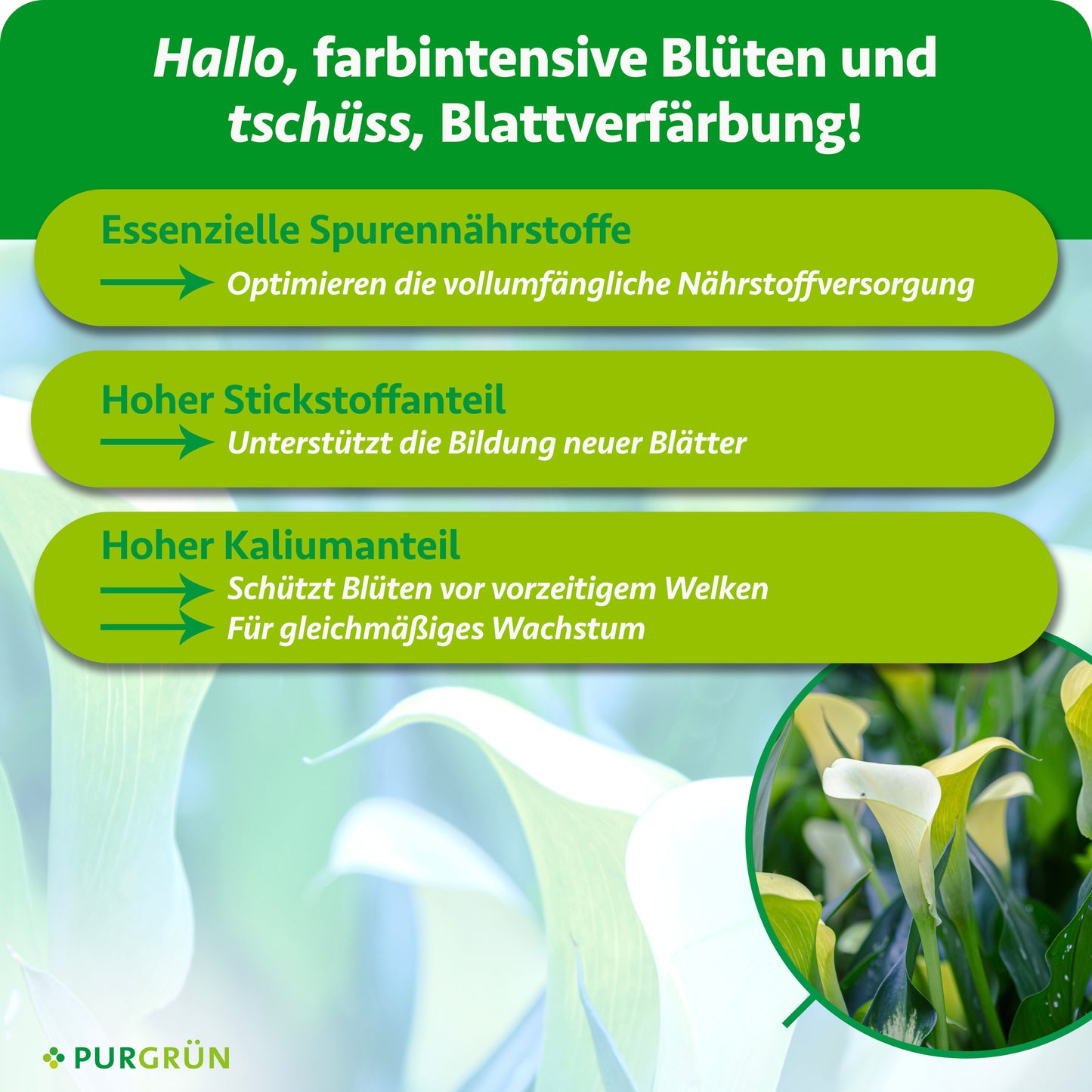 Calla-Dünger 1 Liter