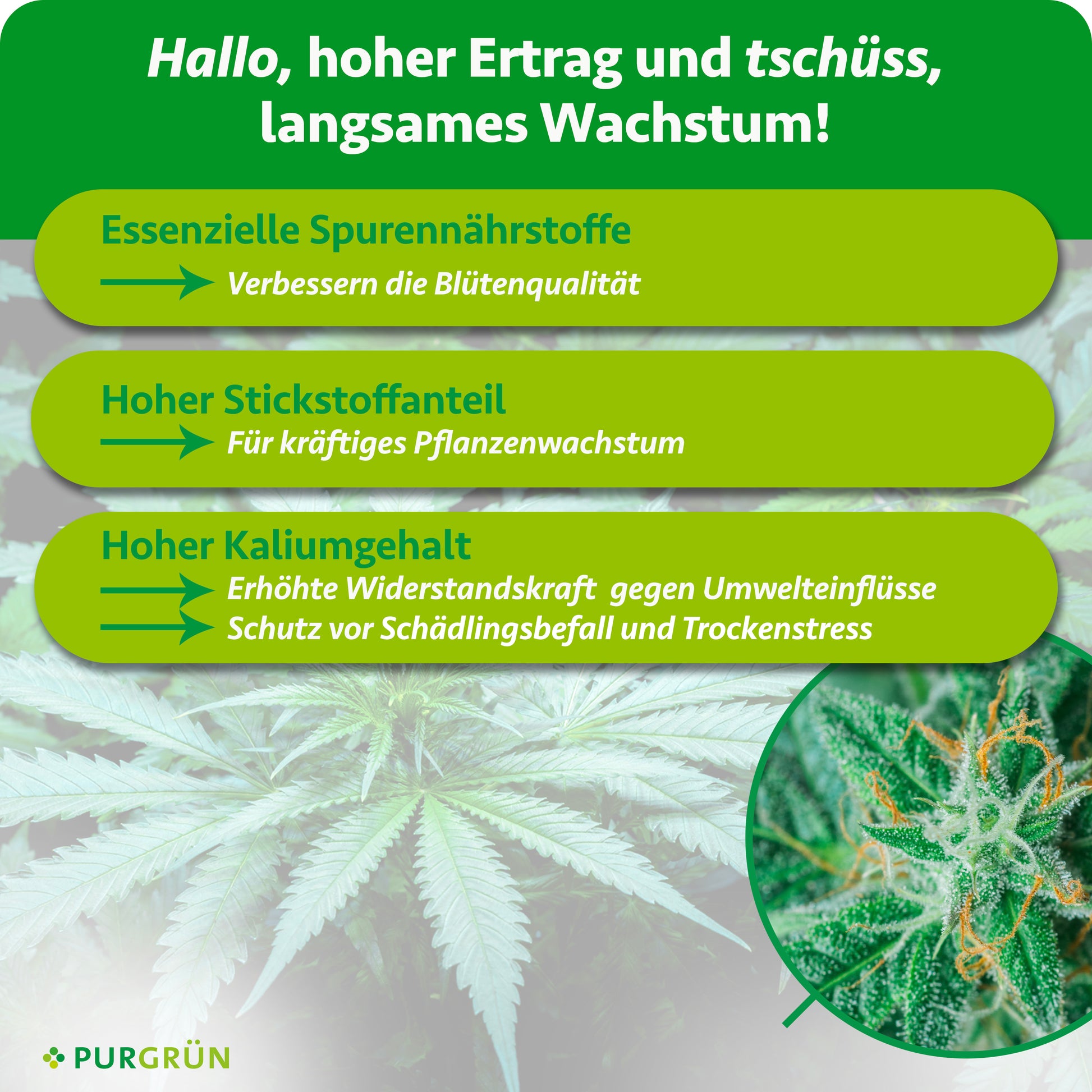 Cannabis-Dnger-Set 2 x 1 Liter  Purgrn