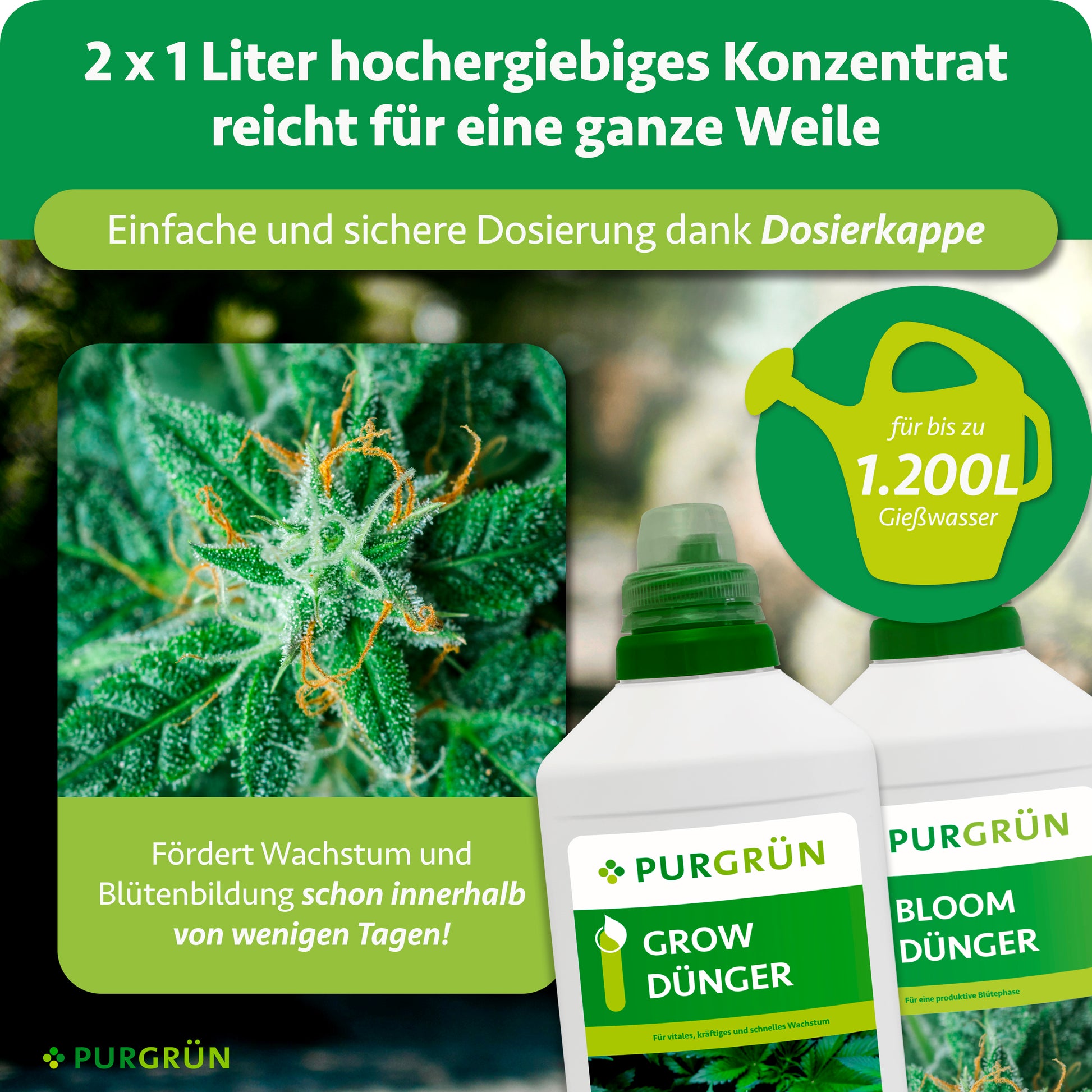Cannabis-Dünger-Set 2 x 1 Liter – Purgrün