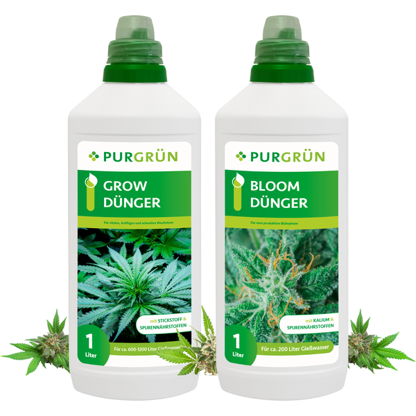 V-MOD 300 Ml Glckskastanie Dnger - Bio Flssigdnger Fr Geldbaum Pachira  Aquatica, ppiges Wachstum & Glnzende Bltter Geldbaum Dnger