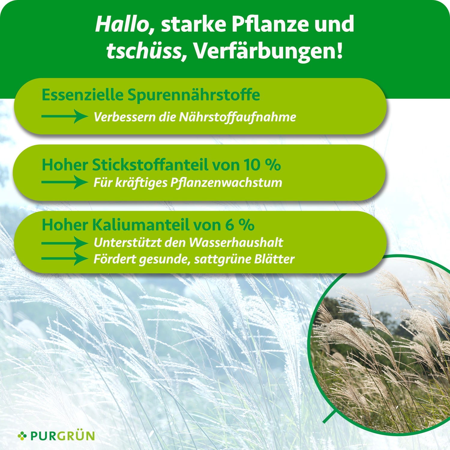 Purgrün Chinaschilf-Dünger 1 Liter